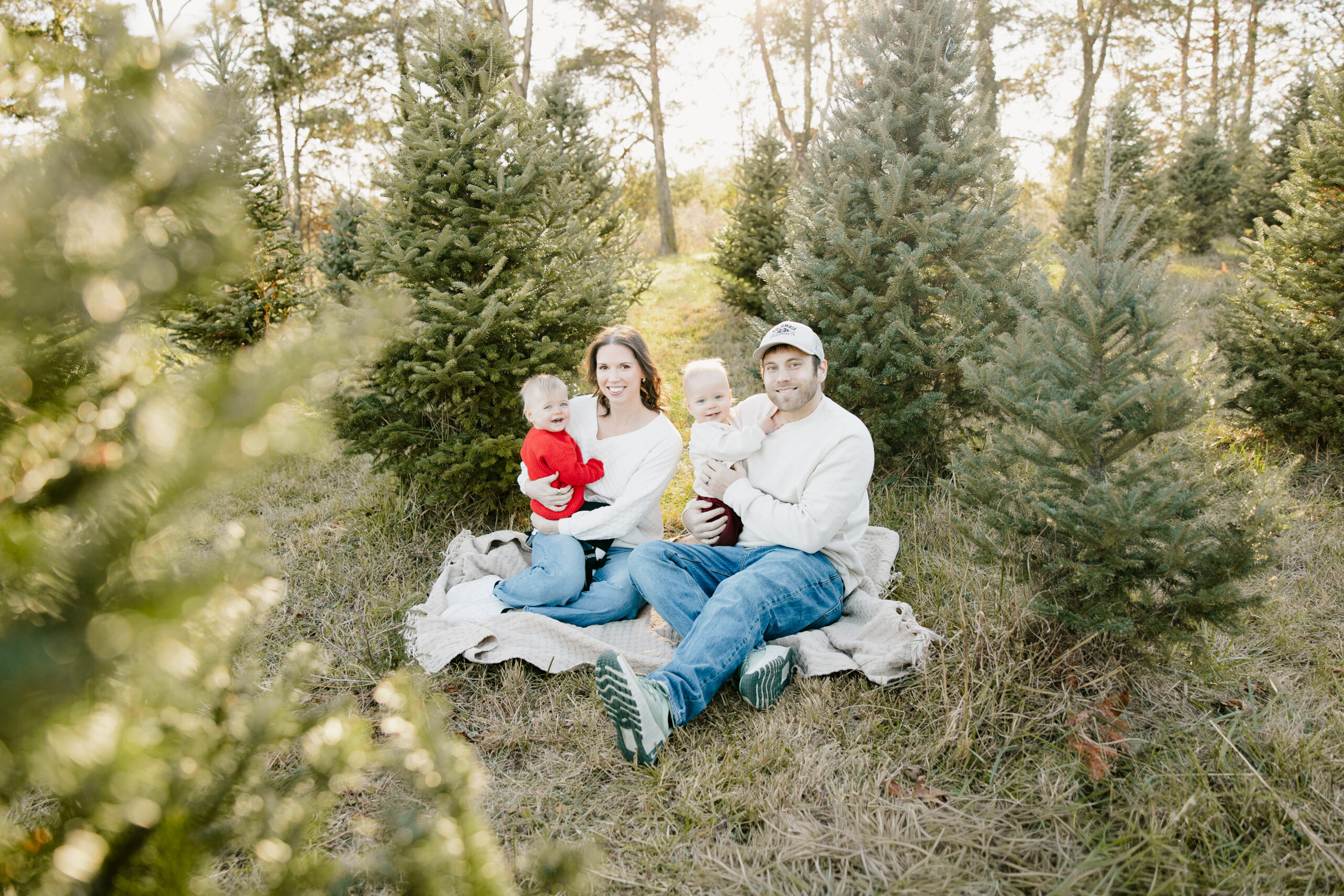 Christmas Tree Mini Session
